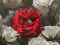 fb200627_Felicia_0684_fd