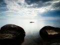 natur_dacke_204