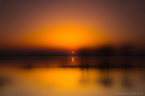 140330_5G5A5502_f_f