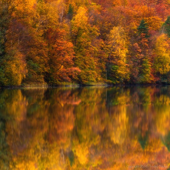 141018_5G5A4259_f_f