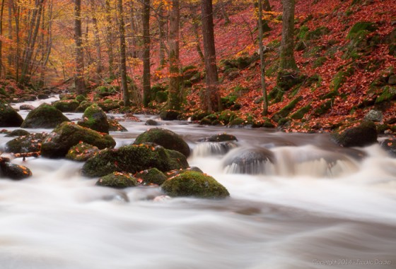141026_5G5A4463_fd_f