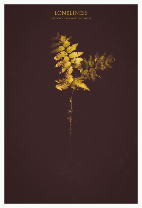 Life Collection