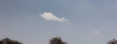 Kvällens bild